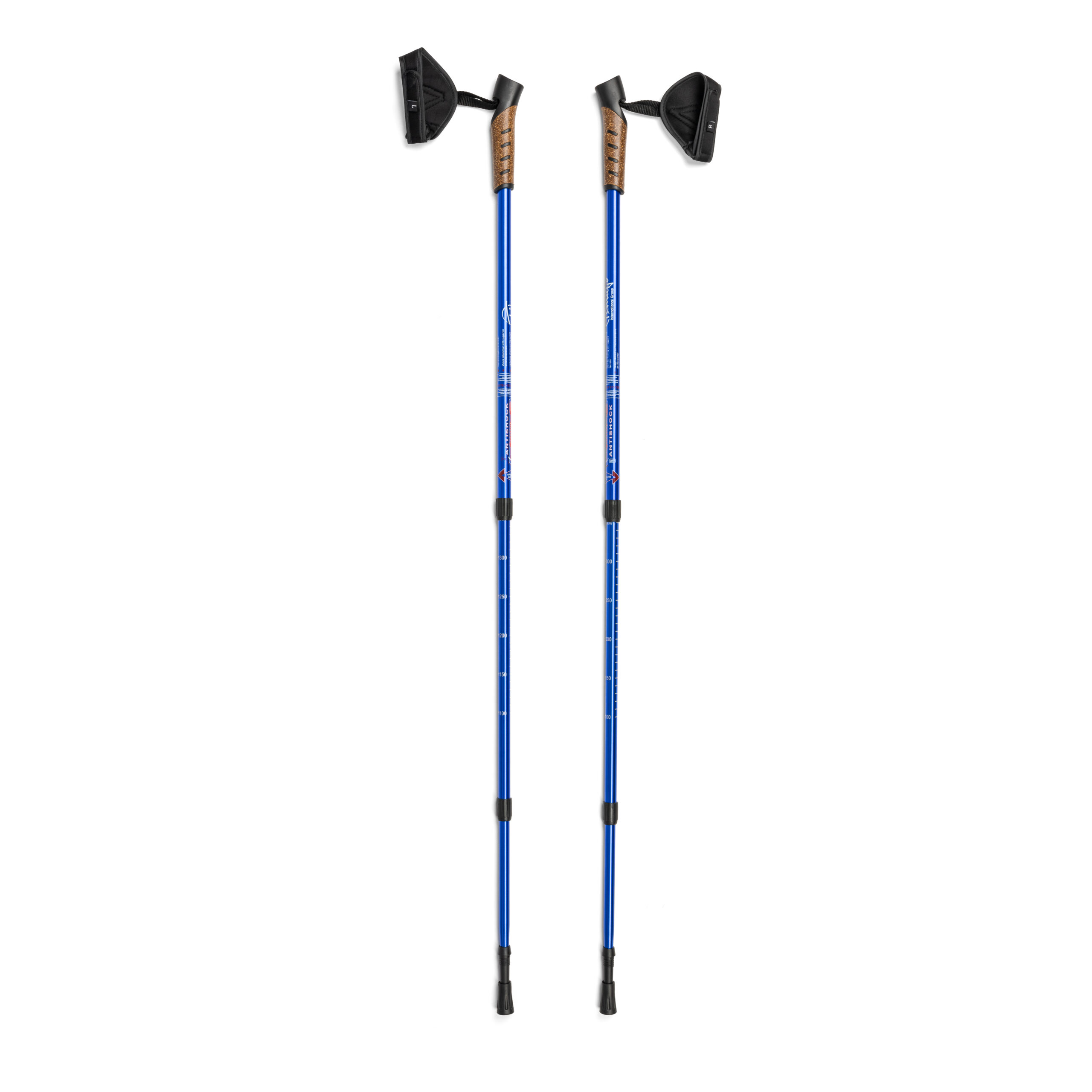 Kijki trekkingowe kolor niebieski TIMAGO